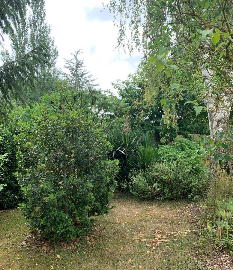 Maison D'Hotes La Chabanaise - Marais Poitevin Cramchaban Екстер'єр фото